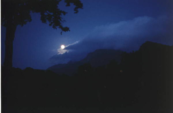 Nachthimmel in Nationalpark in Tamil Nadu