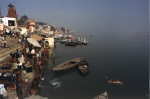 Dead Cow in ganges at the gats of Varanasi